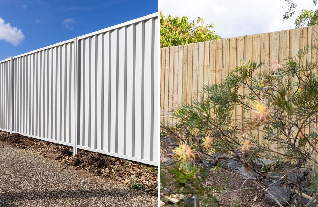 Timber and Colorbond fencing side by side